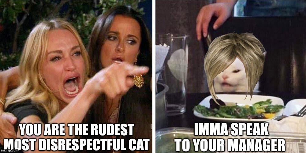 Smudge the cat | YOU ARE THE RUDEST MOST DISRESPECTFUL CAT; IMMA SPEAK TO YOUR MANAGER | image tagged in smudge the cat | made w/ Imgflip meme maker