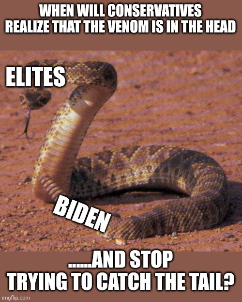 Snake Chalmers | WHEN WILL CONSERVATIVES REALIZE THAT THE VENOM IS IN THE HEAD; ELITES; BIDEN; ......AND STOP TRYING TO CATCH THE TAIL? | image tagged in snake bite | made w/ Imgflip meme maker