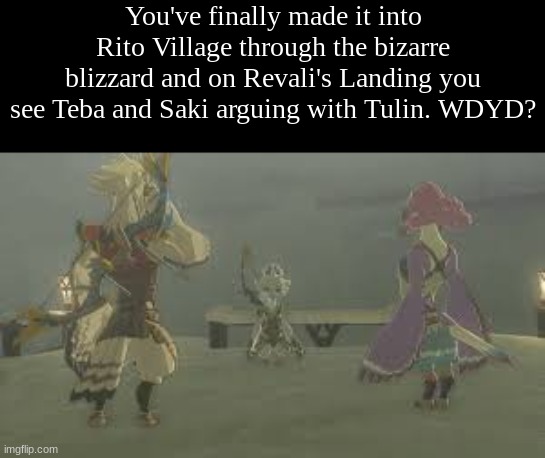 any oc [minus joke] allowed, zelda ocs alright as well | You've finally made it into Rito Village through the bizarre blizzard and on Revali's Landing you see Teba and Saki arguing with Tulin. WDYD? | image tagged in no romance,no joke ocs | made w/ Imgflip meme maker