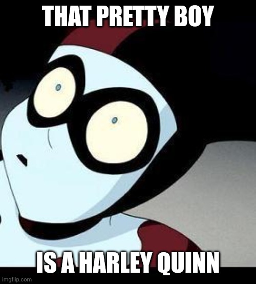 Harley Quinn  | THAT PRETTY BOY IS A HARLEY QUINN | image tagged in harley quinn | made w/ Imgflip meme maker