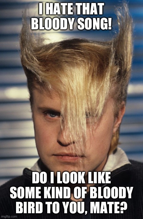 Flock of seagulls | I HATE THAT BLOODY SONG! DO I LOOK LIKE SOME KIND OF BLOODY BIRD TO YOU, MATE? | image tagged in flock of seagulls | made w/ Imgflip meme maker