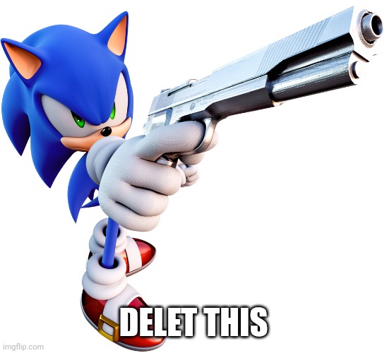 Sonic with a gun | DELET THIS | image tagged in sonic with a gun | made w/ Imgflip meme maker