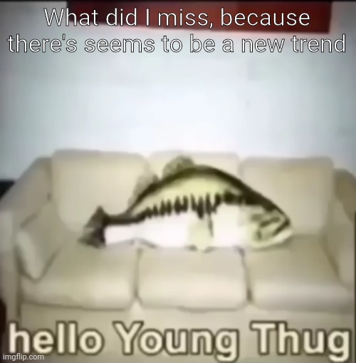 Hello Young Thug | What did I miss, because there's seems to be a new trend | image tagged in hello young thug | made w/ Imgflip meme maker