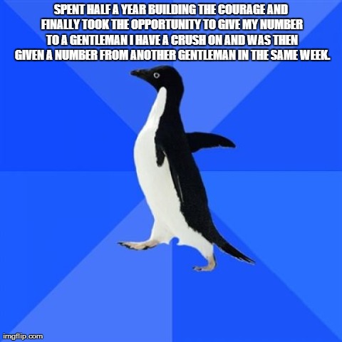 Socially Awkward Penguin | SPENT HALF A YEAR BUILDING THE COURAGE AND FINALLY TOOK THE OPPORTUNITY TO GIVE MY NUMBER TO A GENTLEMAN I HAVE A CRUSH ON AND WAS THEN GIVE | image tagged in memes,socially awkward penguin | made w/ Imgflip meme maker