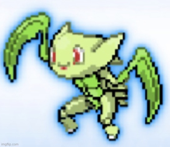 Chikotops | image tagged in chikotops | made w/ Imgflip meme maker