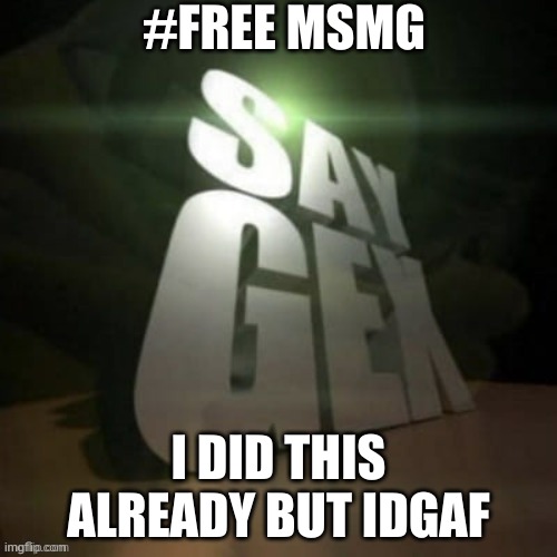 say gex | #FREE MSMG; I DID THIS ALREADY BUT IDGAF | image tagged in say gex | made w/ Imgflip meme maker