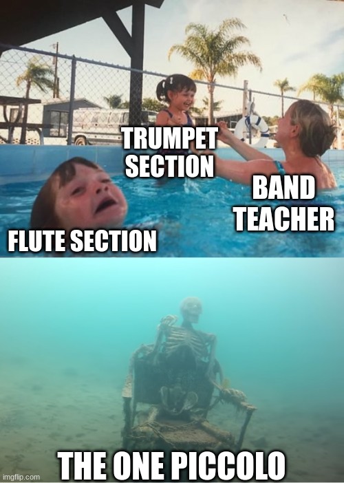 Swimming Pool Kids | TRUMPET SECTION; BAND TEACHER; FLUTE SECTION; THE ONE PICCOLO | image tagged in swimming pool kids | made w/ Imgflip meme maker