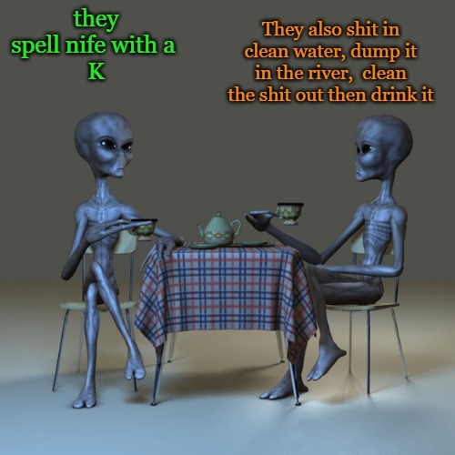 alien observations | they spell nife with a 
K; They also shit in clean water, dump it in the river,  clean the shit out then drink it | image tagged in alien observations,kewlew | made w/ Imgflip meme maker