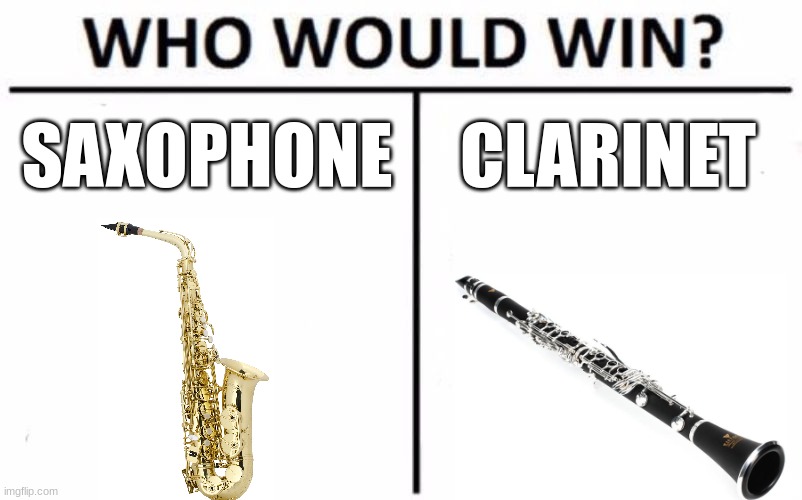 Who Would Win? | SAXOPHONE; CLARINET | image tagged in memes,who would win | made w/ Imgflip meme maker