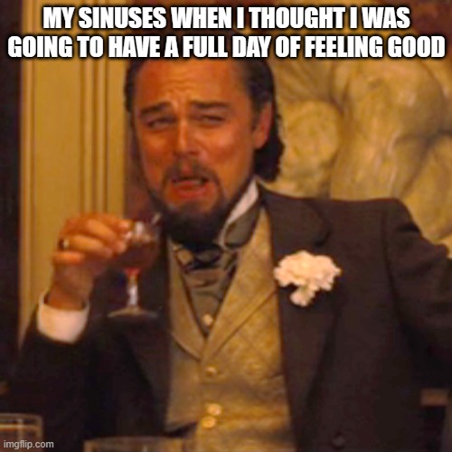 my sinuses tiday | MY SINUSES WHEN I THOUGHT I WAS GOING TO HAVE A FULL DAY OF FEELING GOOD | image tagged in memes,laughing leo | made w/ Imgflip meme maker