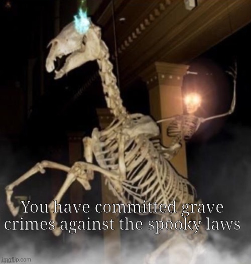 Skele rider | You have committed grave crimes against the spooky laws | image tagged in skele rider | made w/ Imgflip meme maker
