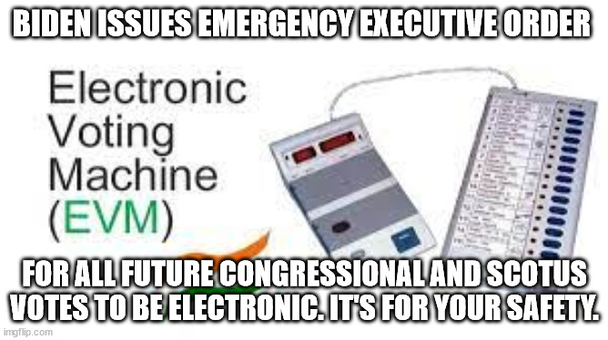 {deleted} VOTING MACHINES OWNED BY {deleted} | BIDEN ISSUES EMERGENCY EXECUTIVE ORDER; FOR ALL FUTURE CONGRESSIONAL AND SCOTUS VOTES TO BE ELECTRONIC. IT'S FOR YOUR SAFETY. | image tagged in propaganda,voting,funny | made w/ Imgflip meme maker