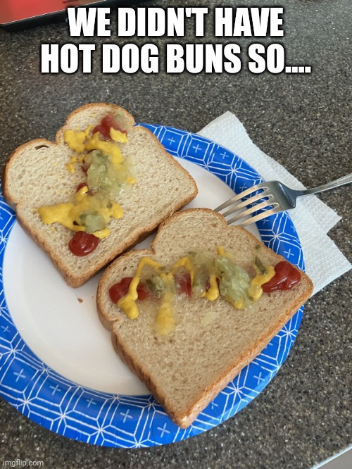 "Hot dog" | WE DIDN'T HAVE HOT DOG BUNS SO.... | image tagged in hot dog,food memes | made w/ Imgflip meme maker