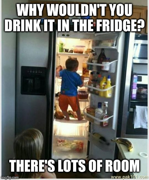 baby getting food from fridge | WHY WOULDN'T YOU DRINK IT IN THE FRIDGE? THERE'S LOTS OF ROOM | image tagged in baby getting food from fridge | made w/ Imgflip meme maker