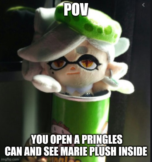 Marie pringles | POV; YOU OPEN A PRINGLES CAN AND SEE MARIE PLUSH INSIDE | image tagged in marie pringles | made w/ Imgflip meme maker