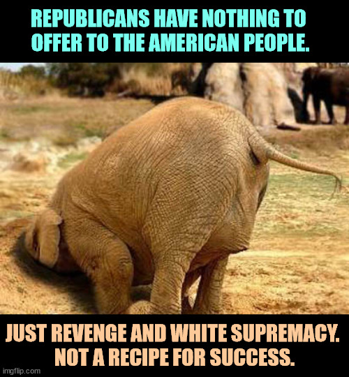 Politicians getting even with each other is juvenile, boring and destructive. | REPUBLICANS HAVE NOTHING TO 
OFFER TO THE AMERICAN PEOPLE. JUST REVENGE AND WHITE SUPREMACY. 
NOT A RECIPE FOR SUCCESS. | image tagged in republican elephant head in the sand denying any and all facts,republican party,empty,revenge,white supremacists,failure | made w/ Imgflip meme maker
