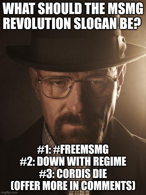 Walter White | WHAT SHOULD THE MSMG REVOLUTION SLOGAN BE? #1: #FREEMSMG
#2: DOWN WITH REGIME
#3: CORDIS DIE
(OFFER MORE IN COMMENTS) | image tagged in walter white | made w/ Imgflip meme maker