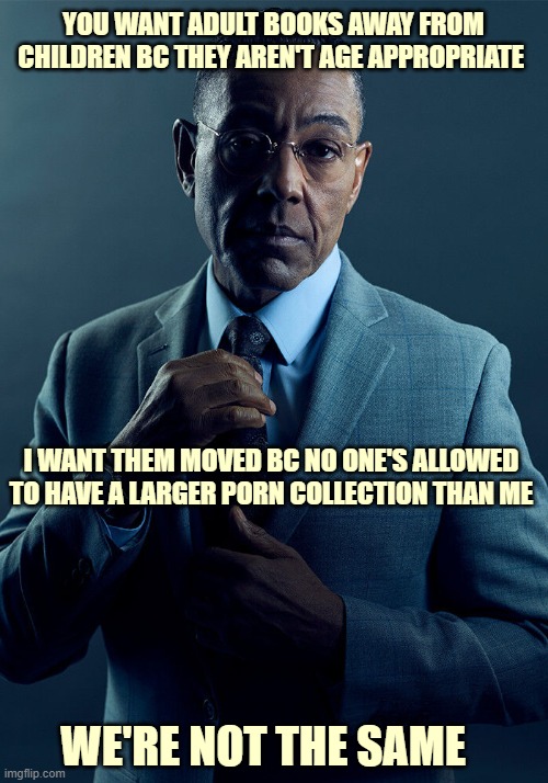 Gus Fring we are not the same | YOU WANT ADULT BOOKS AWAY FROM CHILDREN BC THEY AREN'T AGE APPROPRIATE; I WANT THEM MOVED BC NO ONE'S ALLOWED TO HAVE A LARGER PORN COLLECTION THAN ME; WE'RE NOT THE SAME | image tagged in gus fring we are not the same,books,funny | made w/ Imgflip meme maker