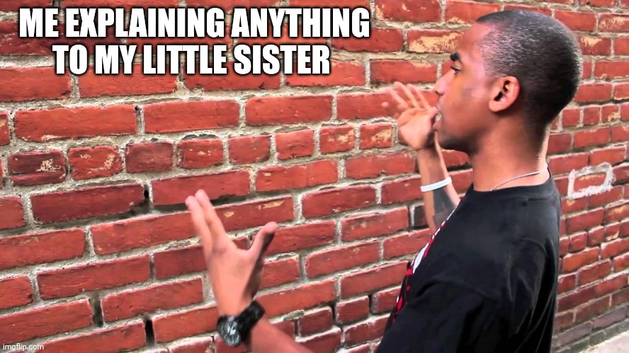 Talking to wall | ME EXPLAINING ANYTHING TO MY LITTLE SISTER | image tagged in talking to wall | made w/ Imgflip meme maker