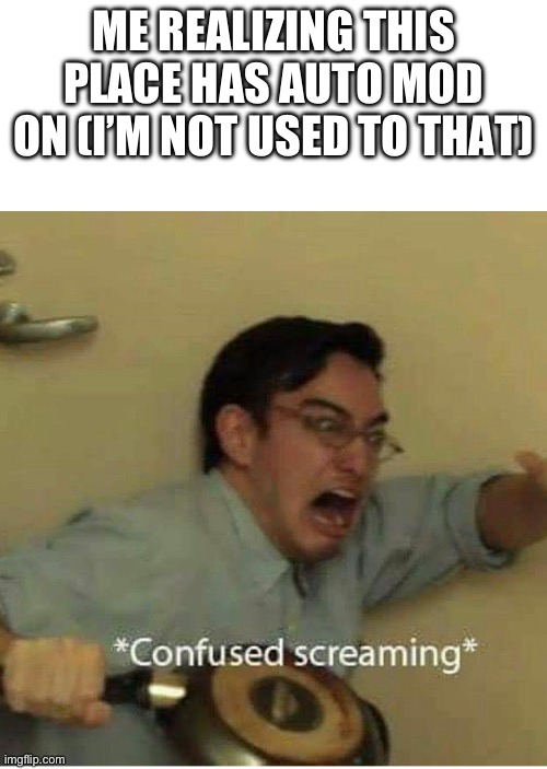 *doesn't have auto mod | ME REALIZING THIS PLACE HAS AUTO MOD ON (I’M NOT USED TO THAT) | image tagged in confused screaming | made w/ Imgflip meme maker