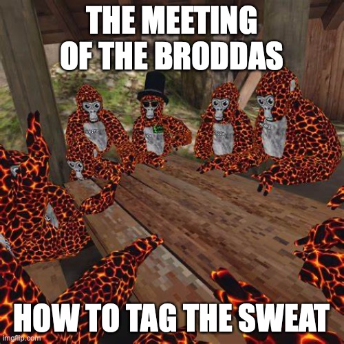brodda | THE MEETING OF THE BRODDAS; HOW TO TAG THE SWEAT | image tagged in gorilla tag lava monkes | made w/ Imgflip meme maker