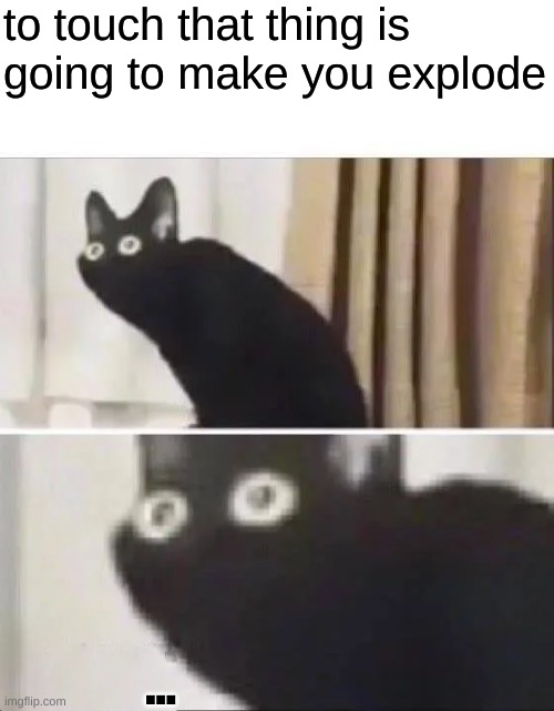 Oh No Black Cat | to touch that thing is going to make you explode ... | image tagged in oh no black cat | made w/ Imgflip meme maker