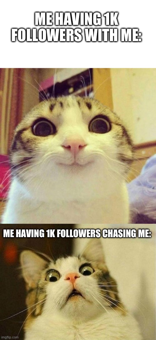 ME HAVING 1K FOLLOWERS WITH ME: ME HAVING 1K FOLLOWERS CHASING ME: | image tagged in memes,smiling cat,scared cat | made w/ Imgflip meme maker