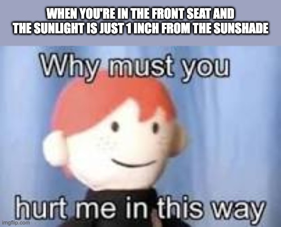 Why must you hurt me in this way | WHEN YOU'RE IN THE FRONT SEAT AND THE SUNLIGHT IS JUST 1 INCH FROM THE SUNSHADE | image tagged in why must you hurt me in this way | made w/ Imgflip meme maker