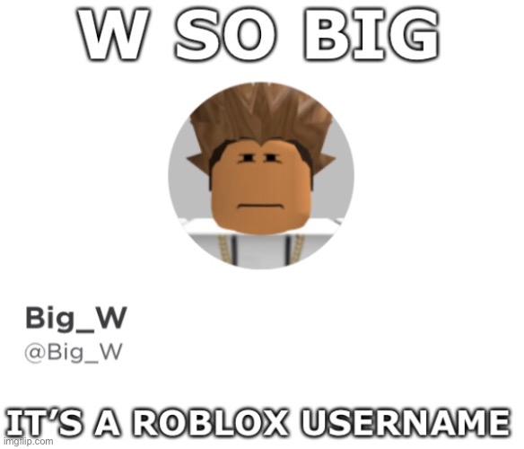 W so big it’s a Roblox username | image tagged in w so big it s a roblox username | made w/ Imgflip meme maker
