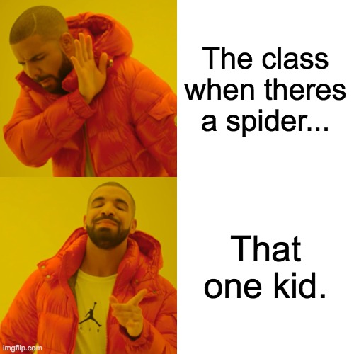 Spiders | The class when theres a spider... That one kid. | image tagged in memes,drake hotline bling,spider | made w/ Imgflip meme maker