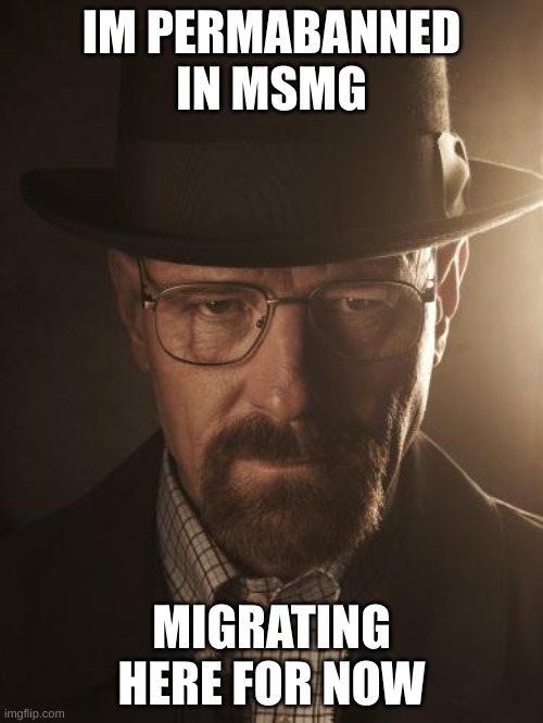 Walter White | IM PERMABANNED IN MSMG; MIGRATING HERE FOR NOW | image tagged in walter white | made w/ Imgflip meme maker