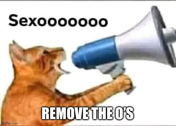SEXOOOOOOO | REMOVE THE O’S | image tagged in sexooooooo | made w/ Imgflip meme maker
