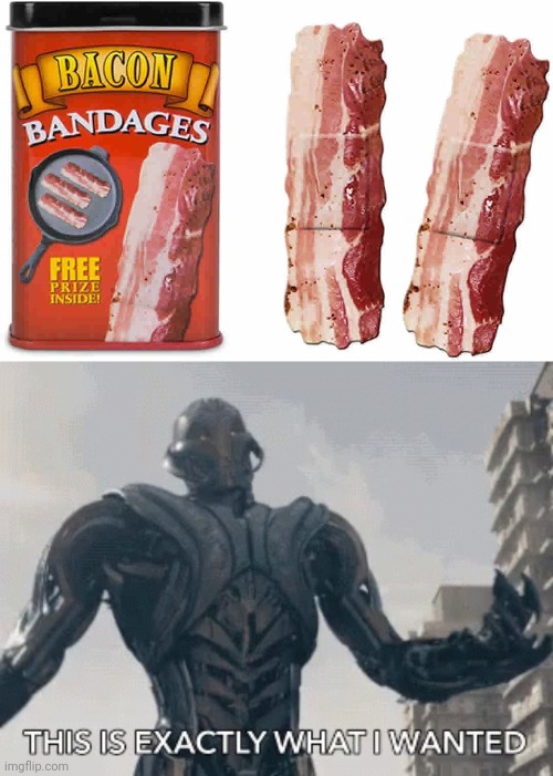 Bacon Bandages | image tagged in this is exactly what i wanted,memes,repost,reposts,bacon,bandages | made w/ Imgflip meme maker