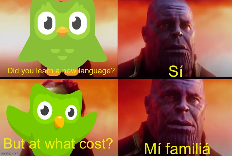 thanos what did it cost | Did you learn a new language? Sí; But at what cost? Mí familiá | image tagged in thanos what did it cost | made w/ Imgflip meme maker