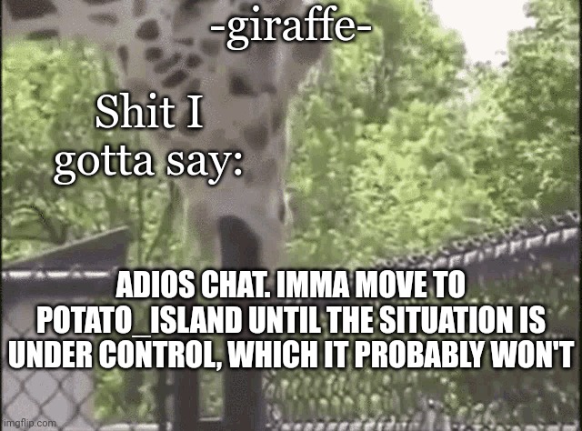 -giraffe- - Imgflip