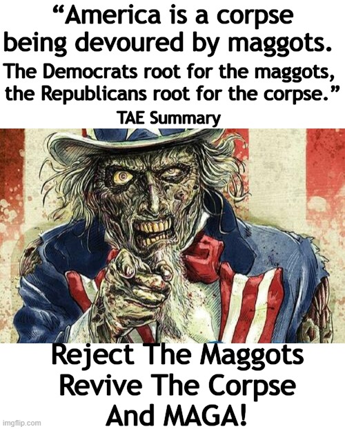 MAGGOTS or MAGA? | “America is a corpse
being devoured by maggots. The Democrats root for the maggots, 
the Republicans root for the corpse.”; TAE Summary; Reject The Maggots
Revive The Corpse
And MAGA! | image tagged in politics,maggots,maga,choices,america,survival | made w/ Imgflip meme maker