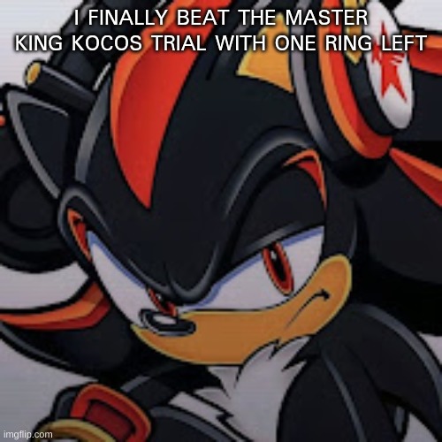 shadow vibing | I FINALLY BEAT THE MASTER KING KOCOS TRIAL WITH ONE RING LEFT | image tagged in shadow vibing | made w/ Imgflip meme maker