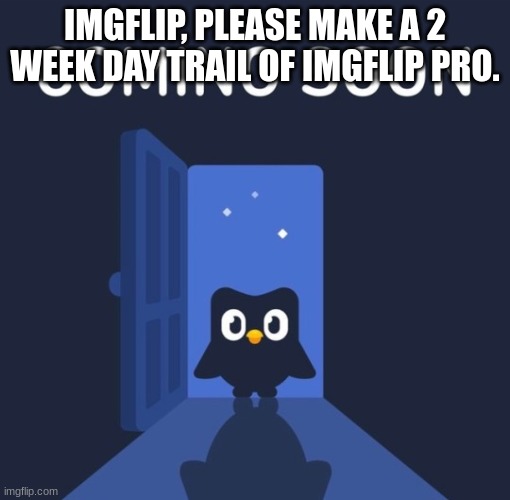 Imgflip, Please Do This. | IMGFLIP, PLEASE MAKE A 2 WEEK DAY TRAIL OF IMGFLIP PRO. | image tagged in duolingo coming soon | made w/ Imgflip meme maker
