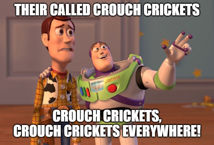 X, X Everywhere | THEIR CALLED CROUCH CRICKETS; CROUCH CRICKETS, CROUCH CRICKETS EVERYWHERE! | image tagged in memes,x x everywhere | made w/ Imgflip meme maker