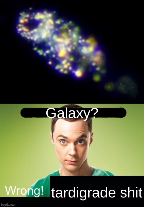 Galaxy? tardigrade shit | made w/ Imgflip meme maker