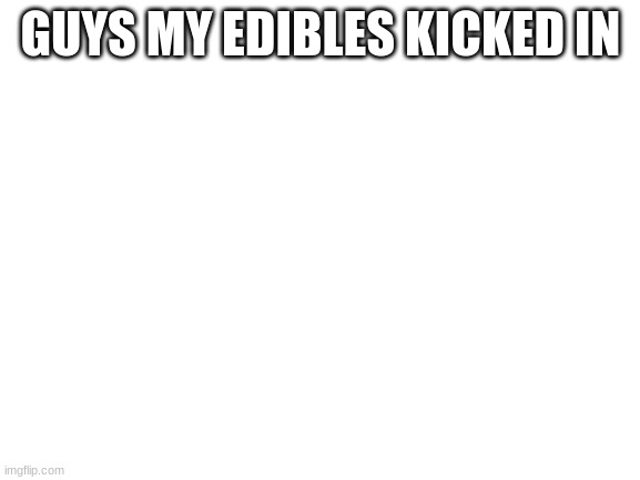 Blank White Template | GUYS MY EDIBLES KICKED IN | image tagged in blank white template | made w/ Imgflip meme maker