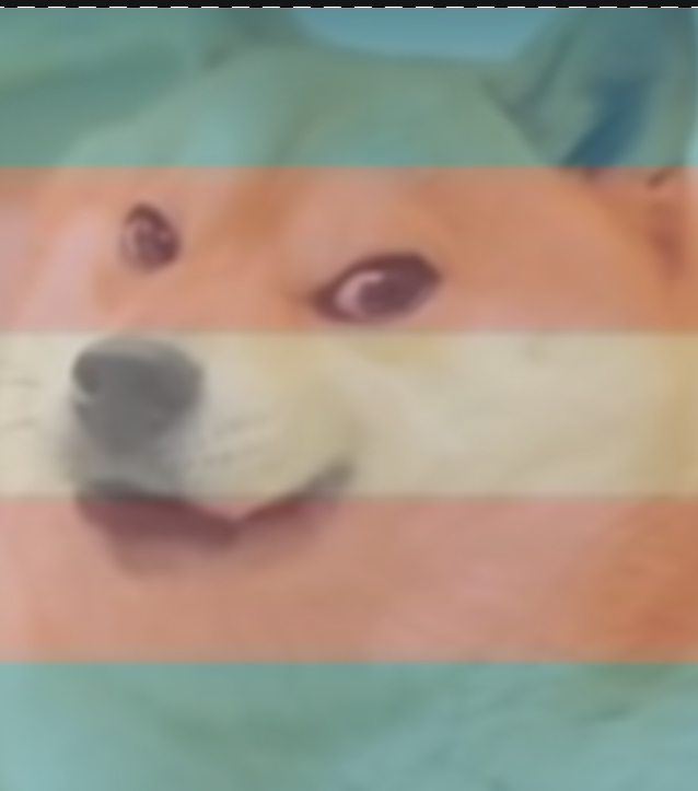 High Quality Trans Doge Blank Meme Template