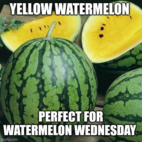 Watermelon Wednesday | YELLOW WATERMELON; PERFECT FOR WATERMELON WEDNESDAY | image tagged in important,facts | made w/ Imgflip meme maker
