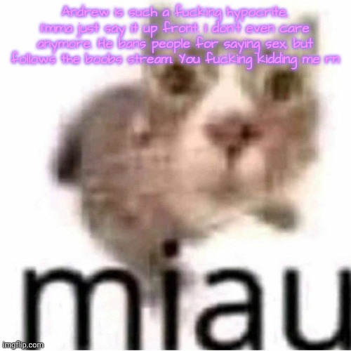 miau | Andrew is such a fucking hypocrite, I'mma just say it up front. I don't even care anymore. He bans people for saying sex, but follows the boobs stream. You fucking kidding me rn | image tagged in miau | made w/ Imgflip meme maker