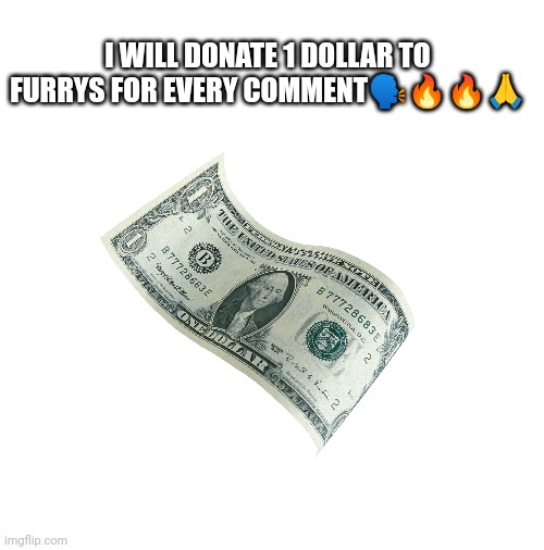 Blank White Template | I WILL DONATE 1 DOLLAR TO FURRYS FOR EVERY COMMENT🗣🔥🔥🙏 | image tagged in furrys,donation,memes | made w/ Imgflip meme maker