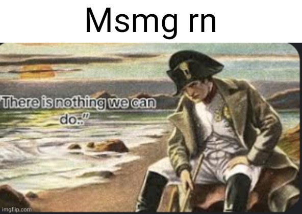 Napoleon what are we gonna do? | Msmg rn | image tagged in napoleon,sad napoleon | made w/ Imgflip meme maker