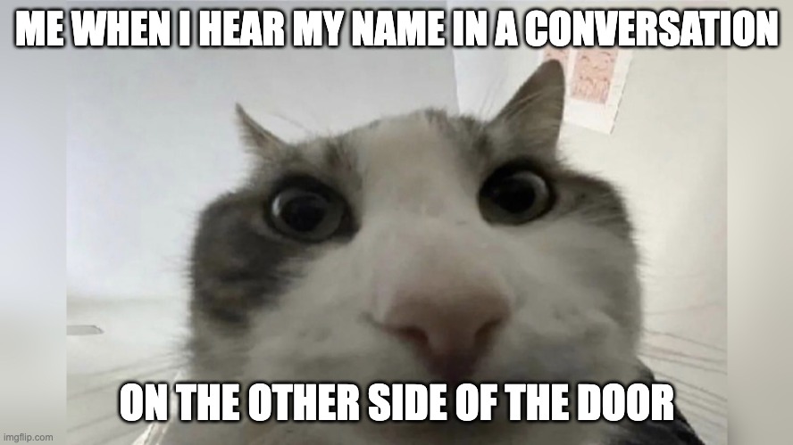 i like this template | ME WHEN I HEAR MY NAME IN A CONVERSATION; ON THE OTHER SIDE OF THE DOOR | image tagged in i'm watchin' you | made w/ Imgflip meme maker