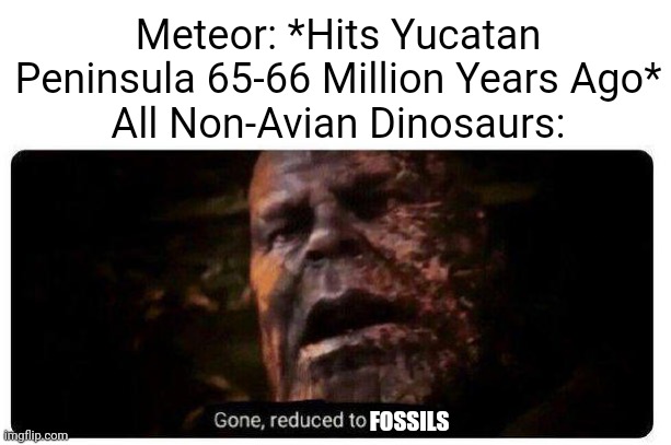 Dinosaur Extinction Meme | Meteor: *Hits Yucatan Peninsula 65-66 Million Years Ago*
All Non-Avian Dinosaurs:; FOSSILS | image tagged in gone reduced to atoms,dinosaurs | made w/ Imgflip meme maker