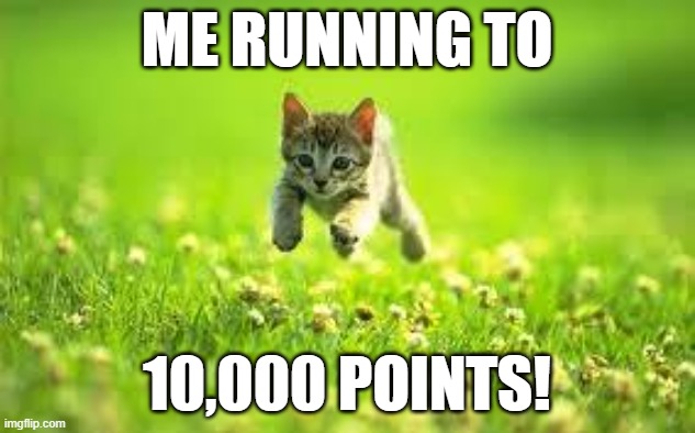 I know I've been talking about that a lot but there are so many good stream i can't post on yet | ME RUNNING TO; 10,000 POINTS! | image tagged in run for your lives cat,10000 points,yay kitty | made w/ Imgflip meme maker