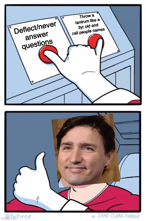Trudeau needs to go | Throw a tantrum like a 3yr old and call people names; Deflect/never answer questions | image tagged in both buttons pressed | made w/ Imgflip meme maker